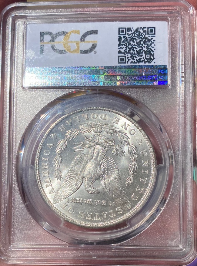 What-Is-The-Obsession-With-Morgan-Dollars-With-So-Many-New-And-Intermediate-Coin-Collectors?