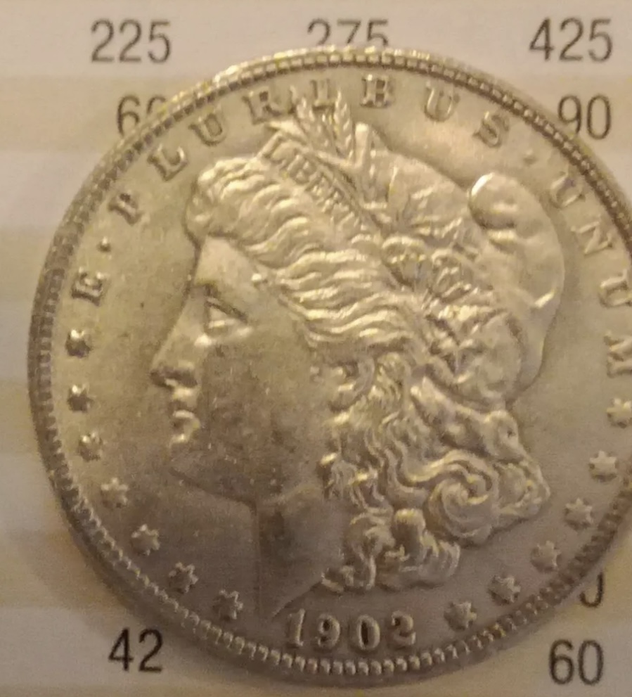Do-You-Think-This-Morgan-Is-Real,-Thinking-Of-Placing-A-Bid-On-It1902-S