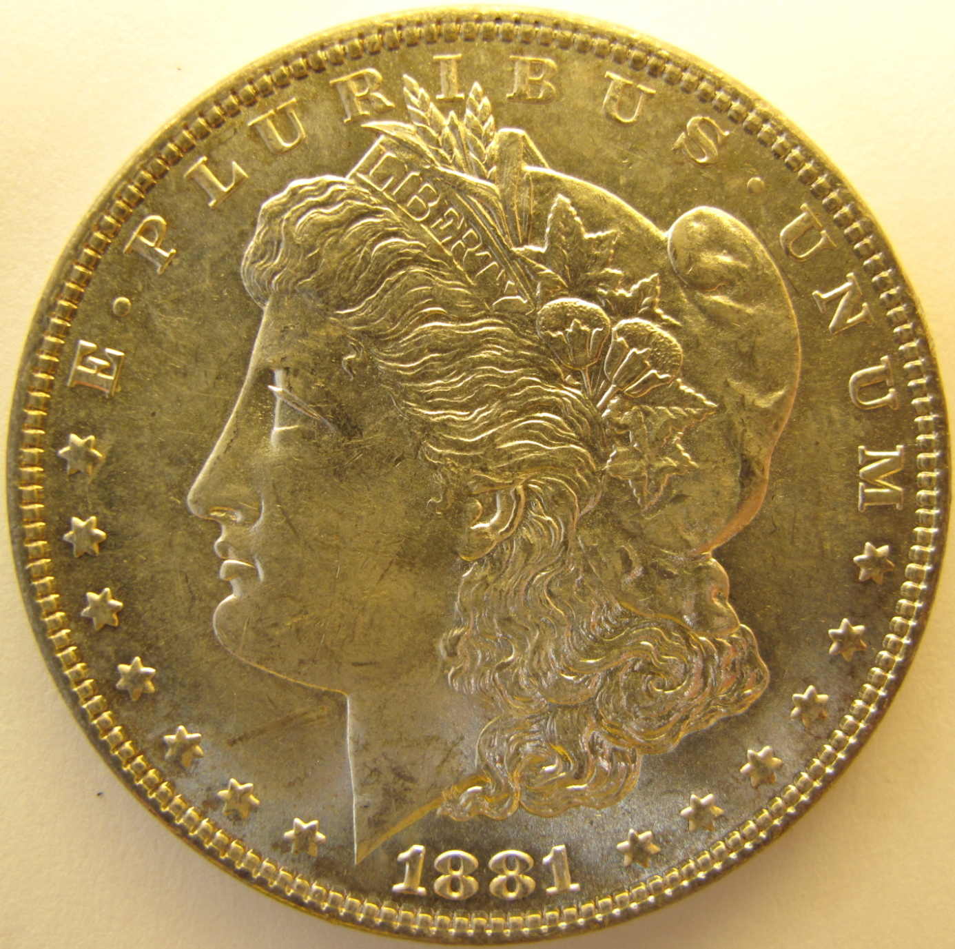 Newbie-Needs-Help-With-Morgan-Dollars