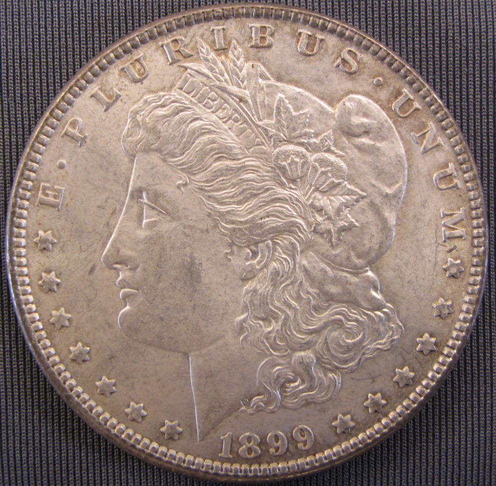 Grade-This-1899-Morgan?