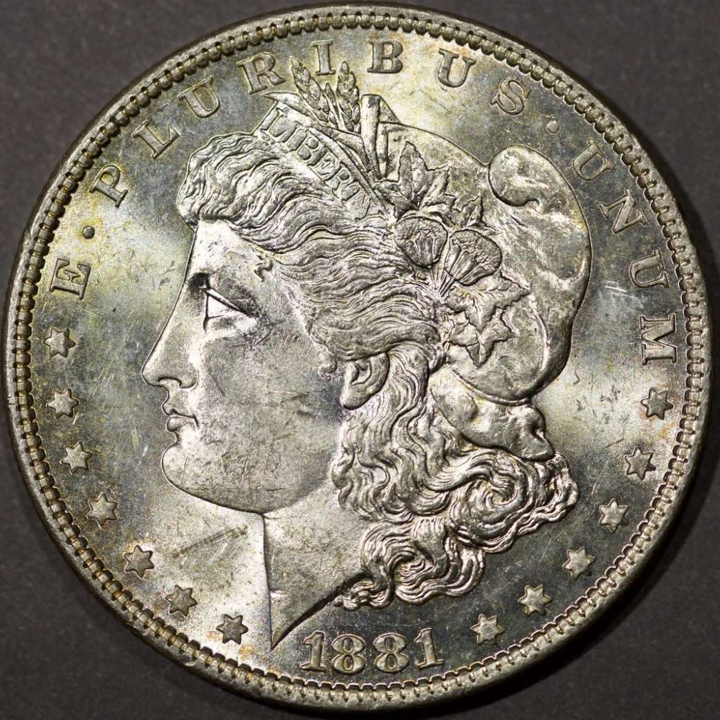 Can-I-Get-An-Opinion-On-A-Couple-1881-Os?
