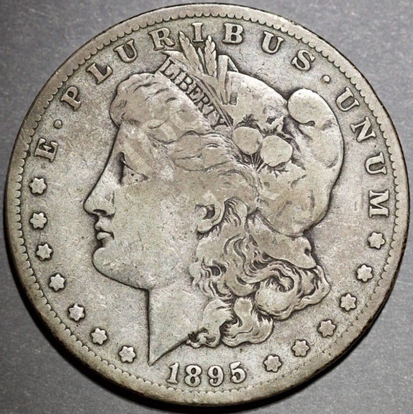 Morgan-1895-S-For-Grading