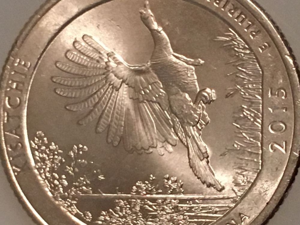 2015-Louisiana-DDR?