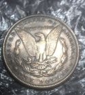 What's-Your-Thought-On-These-Morgans?