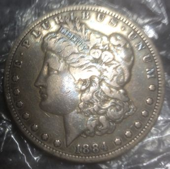 What's-Your-Thought-On-These-Morgans?