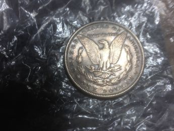 What's-Your-Thought-On-These-Morgans?