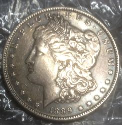 What's-Your-Thought-On-These-Morgans?