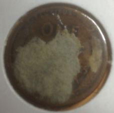 1911-S-Wheat-Penny?