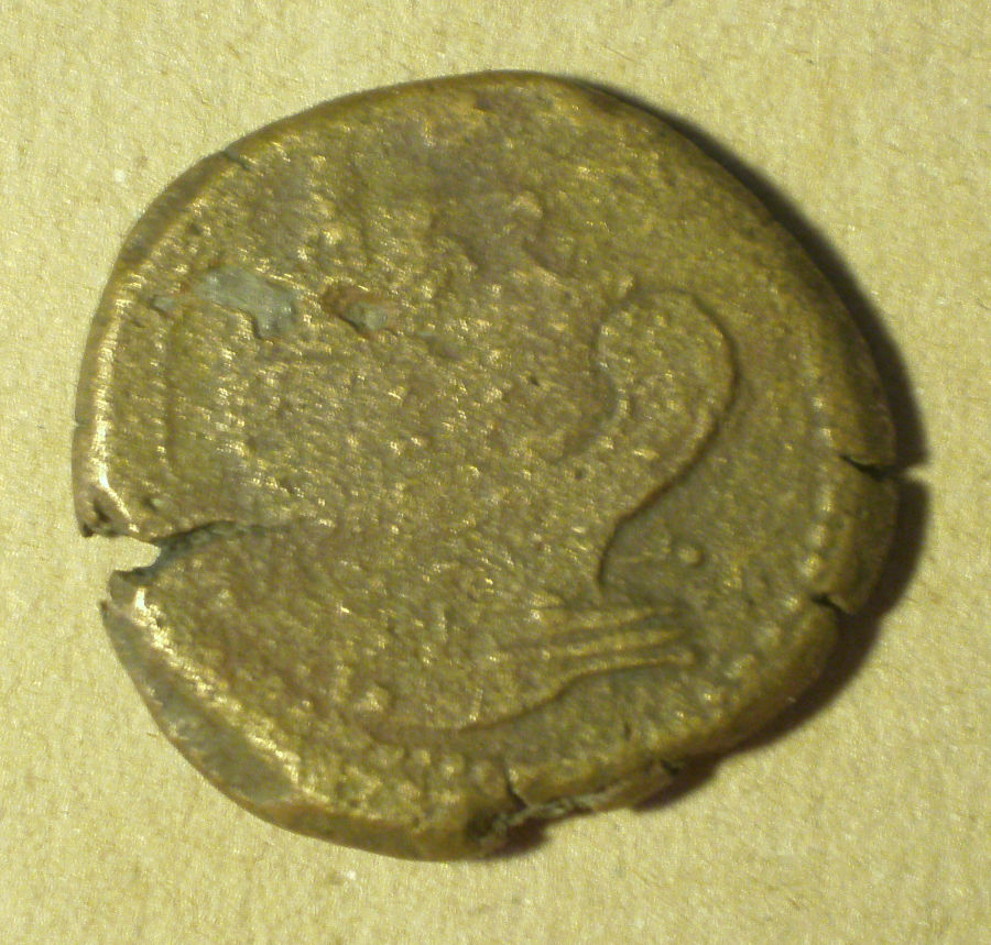 Need-Help-With-An-Octavian-Prow-Coin-Variant