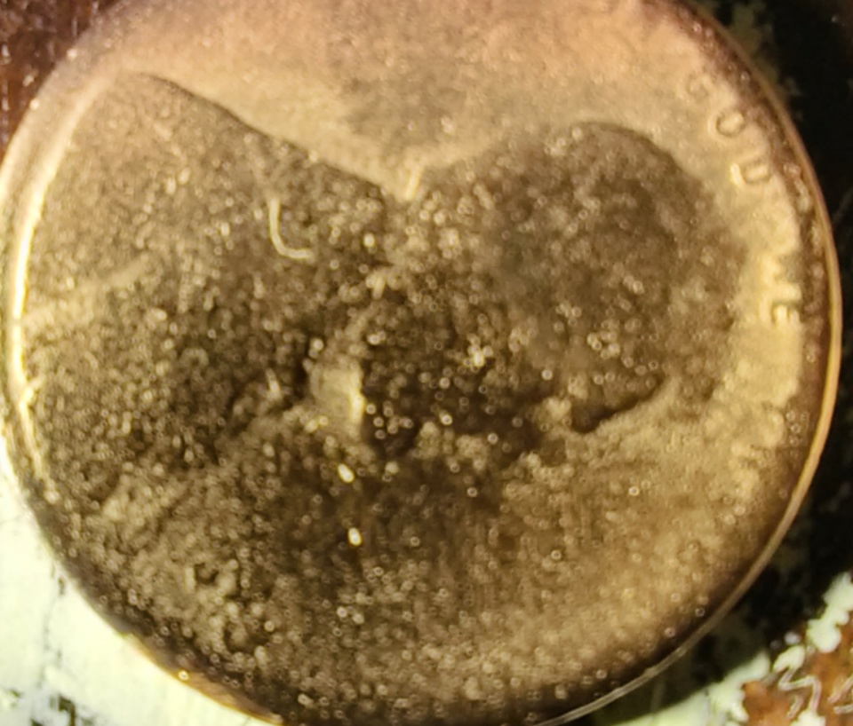 1943-D-Wheat-Copper-Penny-That-Weighs-2.9-G