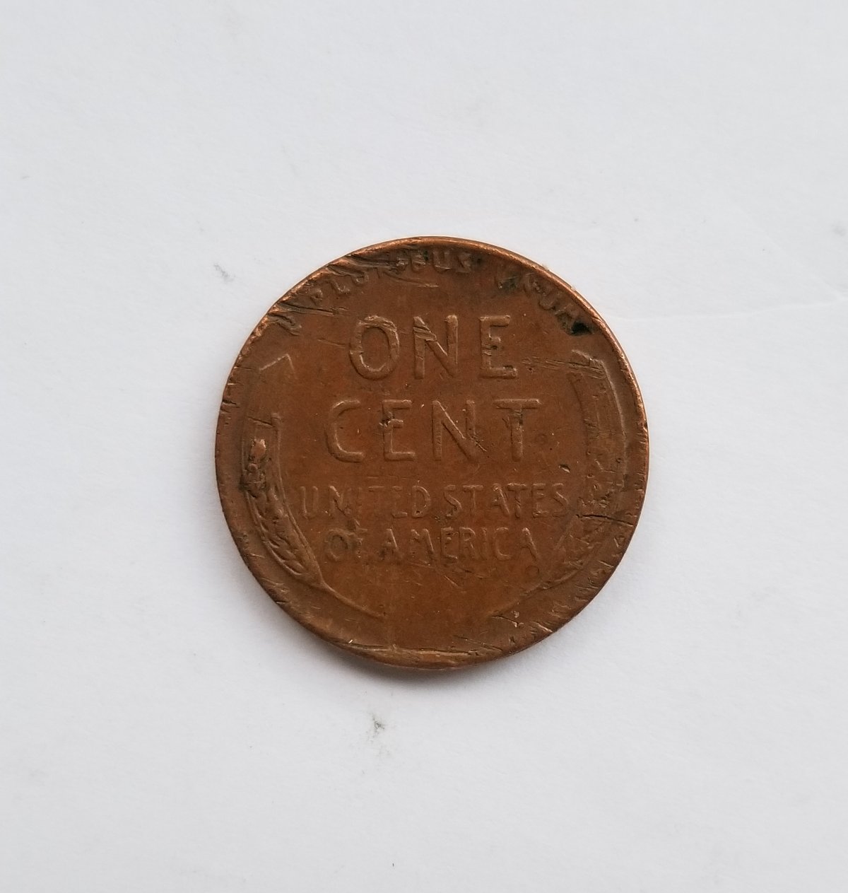 1953-P-LWC-Possible-Wheat-Cud?