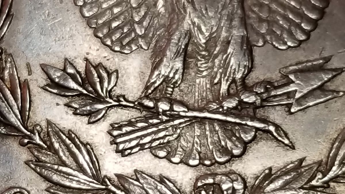 Need-Help-With-A-1878-Morgan-Dollar.