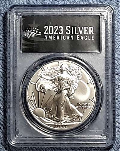 Dearborn's-American-Eagle-Coin-Collection.