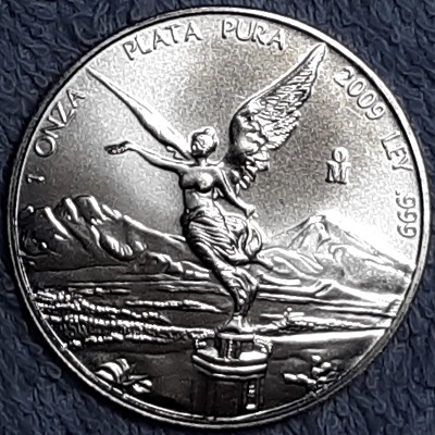 Continuing-List-To-Show-Everyones-Latest-Acquisitions