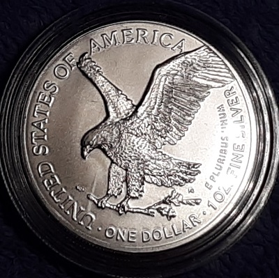 Dearborn's-American-Eagle-Coin-Collection.