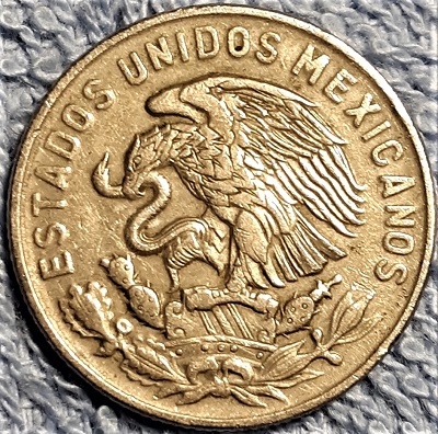 Interesting-Find-From-Circulation