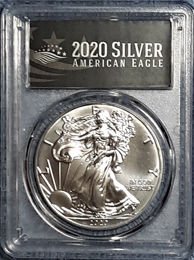 G-L-B-49's-American-Silver-Eagle-Collection