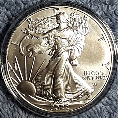 G-L-B-49's-American-Silver-Eagle-Collection
