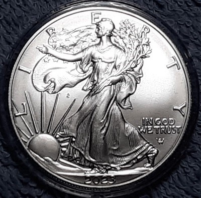 G-L-B-49's-American-Silver-Eagle-Collection