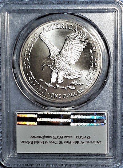 G-L-B-49's-American-Silver-Eagle-Collection