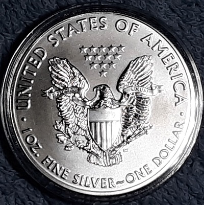 G-L-B-49's-American-Silver-Eagle-Collection