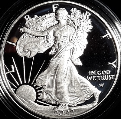 G-L-B-49's-American-Silver-Eagle-Collection