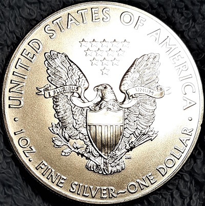 G-L-B-49's-American-Silver-Eagle-Collection