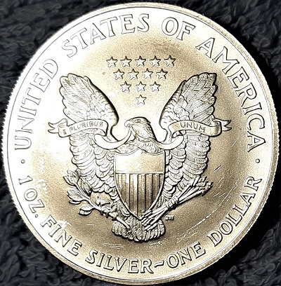 G-L-B-49's-American-Silver-Eagle-Collection