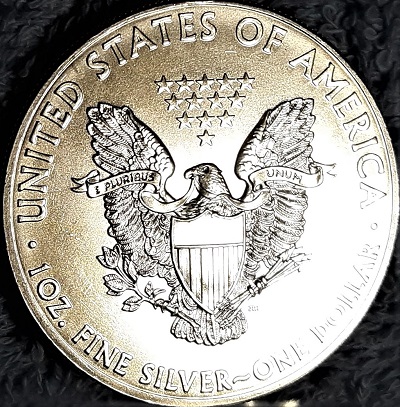 G-L-B-49's-American-Silver-Eagle-Collection