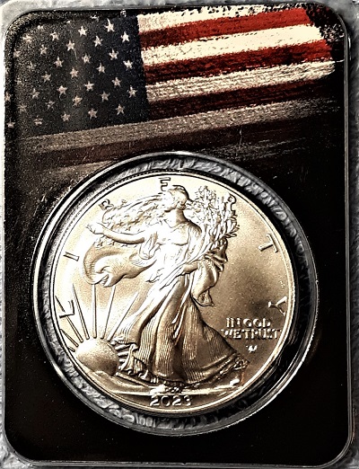 G-L-B-49's-American-Silver-Eagle-Collection