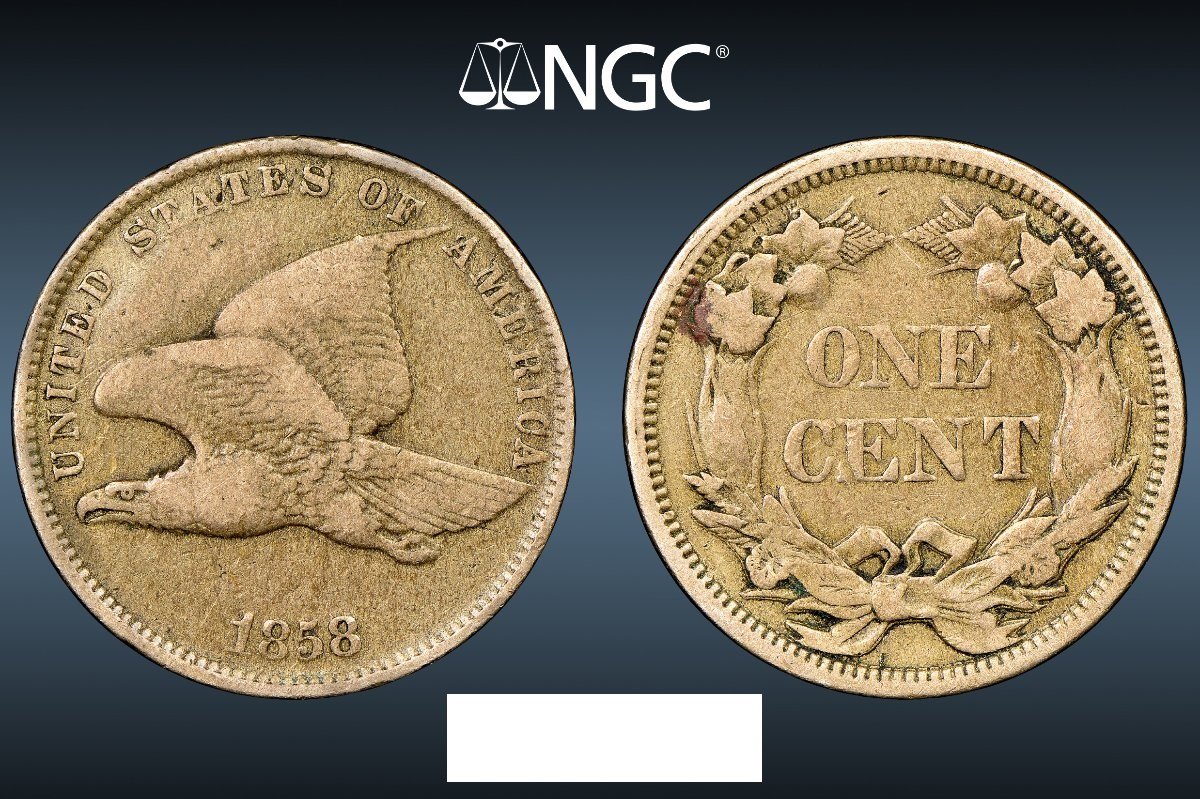 1858-Flying-Eagle-Cent,-You-Vs.-NGC