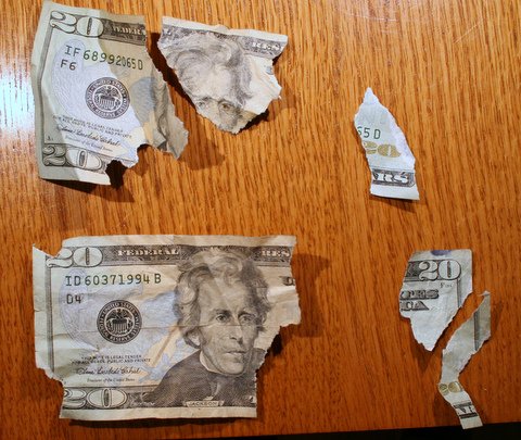 My-New-Dog-Likes-Currency,-I-Hope-She-Doesn't-Take-Up-Coins
