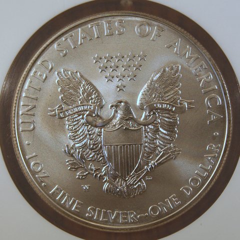 Picked-Up-A-2008-Eagle-W/Reverse-Of-07