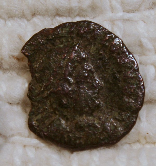 Is-This-Acient-To-Far-Gone-To-Identify?