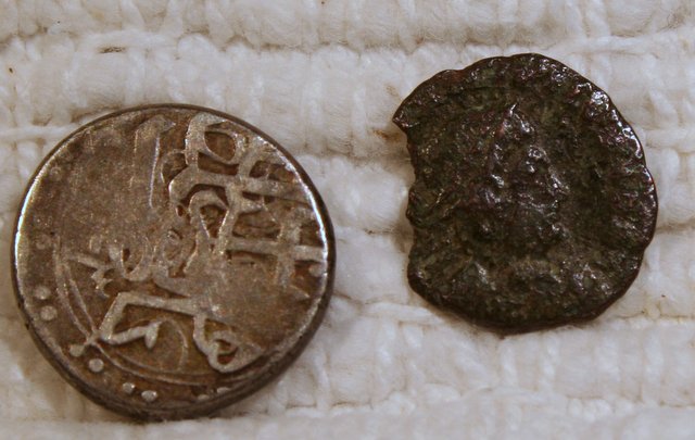 Is-This-Acient-To-Far-Gone-To-Identify?