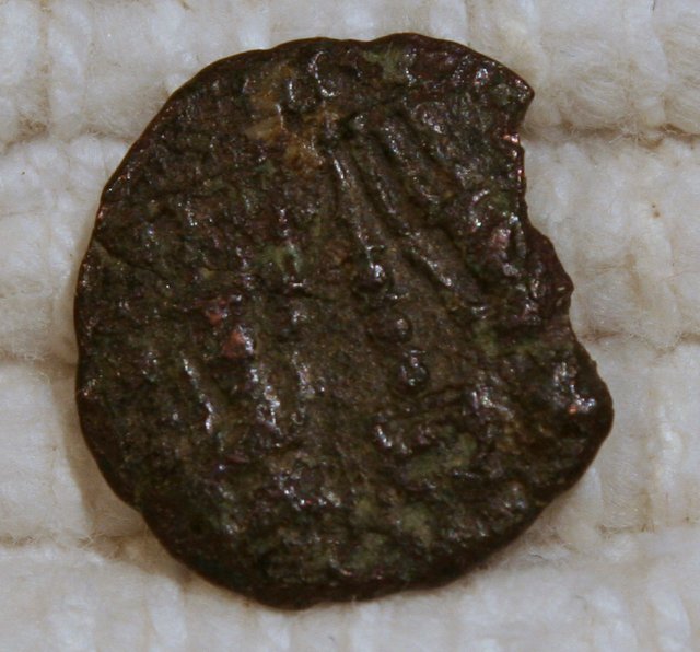 Is-This-Acient-To-Far-Gone-To-Identify?