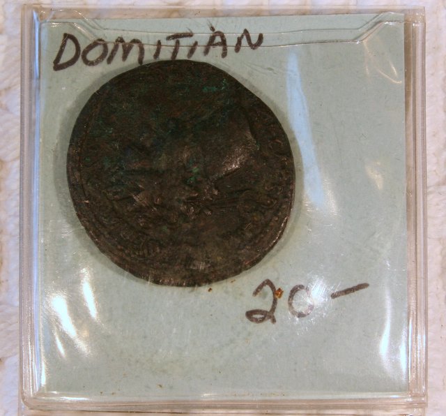 Ancient-Coin---Domitian