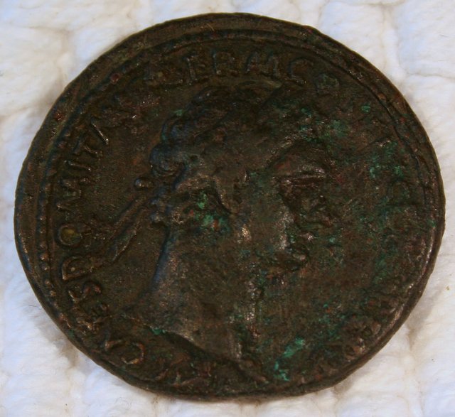 Ancient-Coin---Domitian