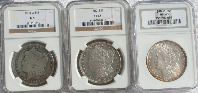 Is-Anyone-Doing-A-Morgan-Dollar-Grade-Set?