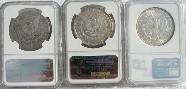 Is-Anyone-Doing-A-Morgan-Dollar-Grade-Set?