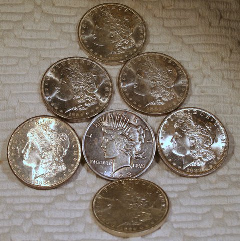 Bucket-Dollar-Day