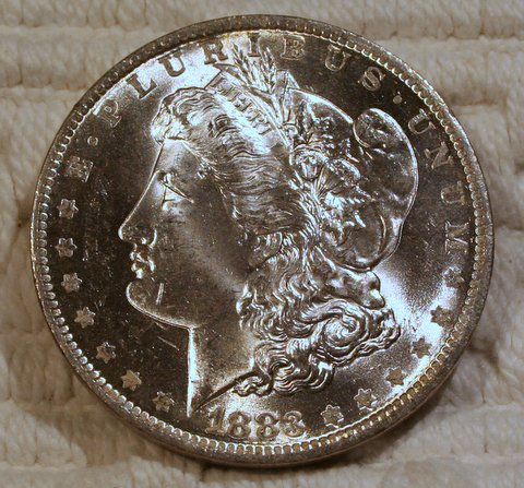 Bucket-Dollar-Day