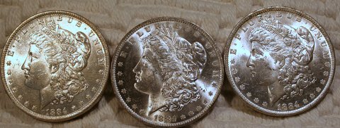Bucket-Dollar-Day