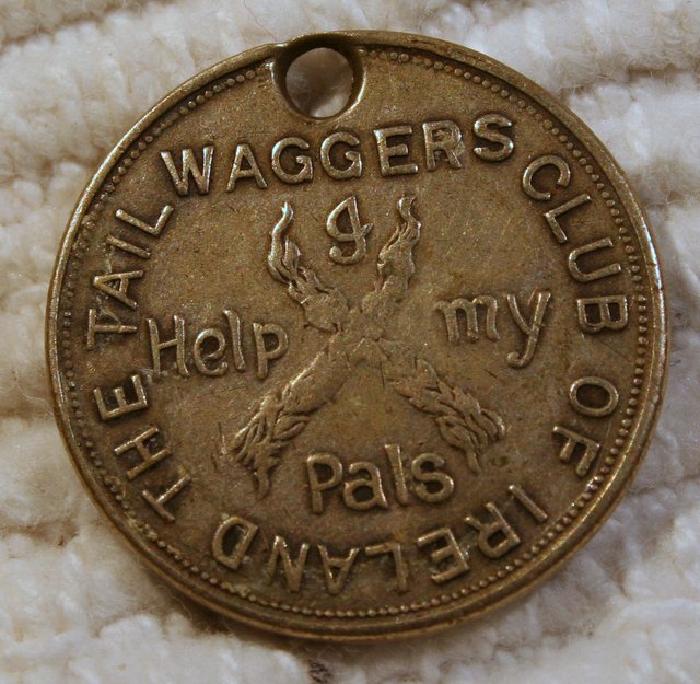 Are-Dog-Tags-Tokens-..-Ireland-Tail-Waggers.