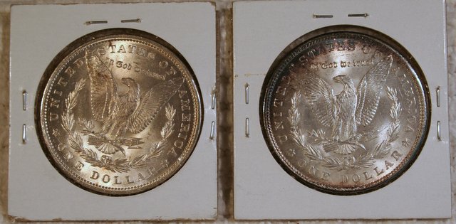 Picked-Up-Used-Dansco-Morgan-Albums-Today