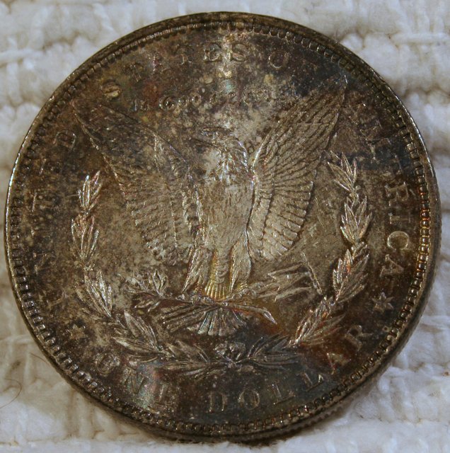 Would-You-Consider-This-Morgan-To-Have-+,-,0-Eye-Appeal?