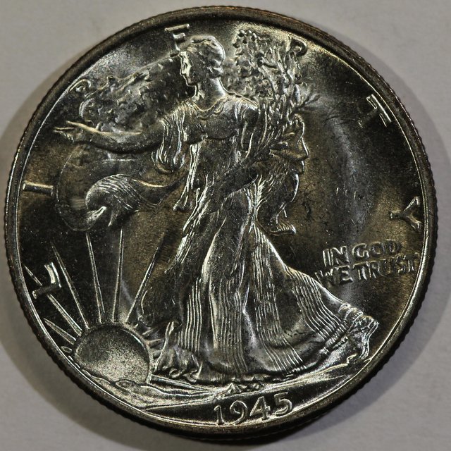 Walking-Liberty-Half-Dansco---Upgrade-Progress