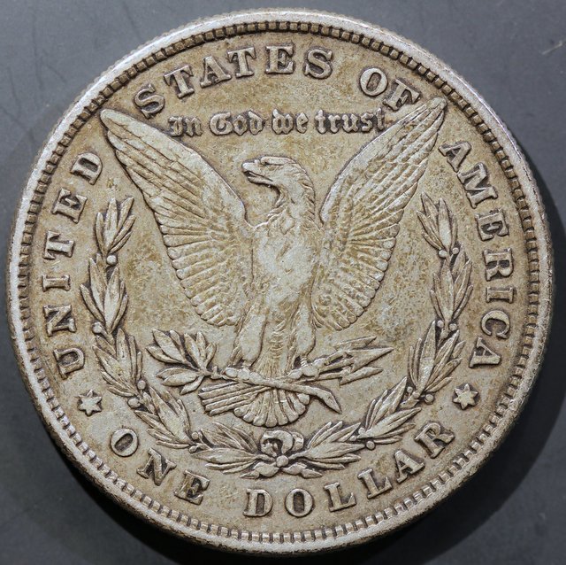 The-28-Days-Of-Morgan-Dollars!-Act-III