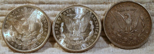 The-28-Days-Of-Morgan-Dollars!-Act-III