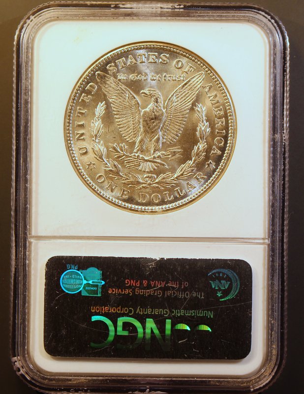Great-Falls-Collection---Morgan